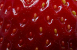 草莓(夏日饮料，草莓加冰块)
