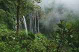 李洪海首次造访海南五指山 亲身体验热带雨林美景