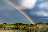 雨后彩虹：美不胜收的自然奇观